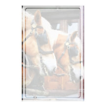 Clydesdale Closeup Stationery Design