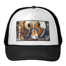Clydesdale Draught   Horses Hat