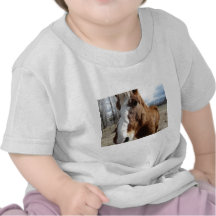 Clydesdale horse tshirts