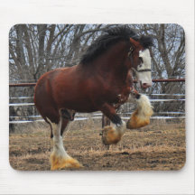 Clydesdale stud colt running mousemats