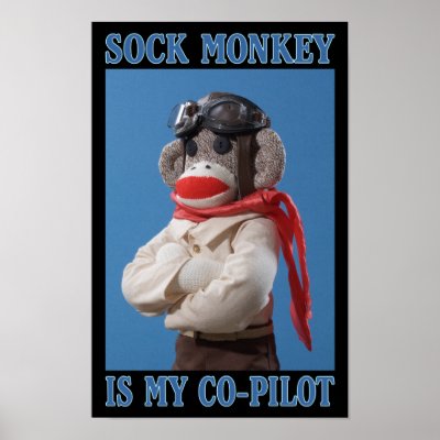 Pilot Monkey