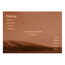 Coast Business Card