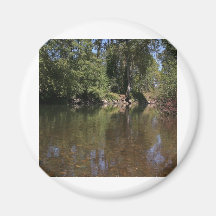 Coast Fork Willamette Refrigerator Magnet