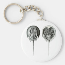 Coastal Horseshoe Crab Keychains