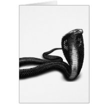 Cobra Greeting Card