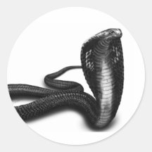 Cobra Round Stickers