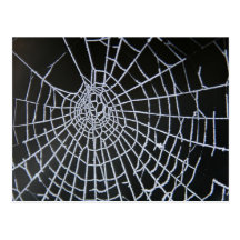 Cobweb Postcards