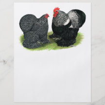 Cochins:  Silver-penciled Flyers