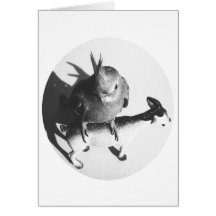 Cockatiel on goat bw circle greeting card