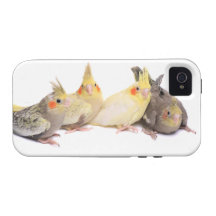 Cockatiels Case-Mate iPhone 4 Cases