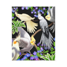 Cockatiels in Forget Me Nots Wrapped Canvas Stretched Canvas Prints