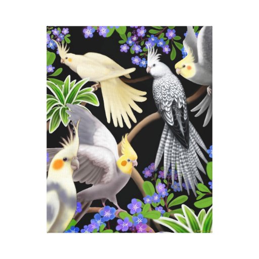 Cockatiels in Forget Me Nots Wrapped Canvas Stretched Canvas Prints