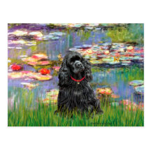 Cocker (black) - Lilies 2 Postcard