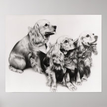 Cocker Spaniels Poster