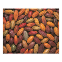 Cocoa pods photo print