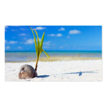 Coconut on the beach business card templates
