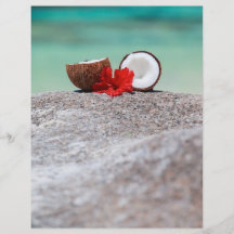 Coconut with tropical flower on exotic coast flyers