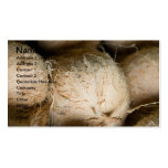 Coconuts Business Card Template