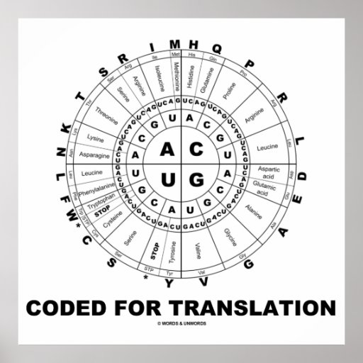 Coded For Translation (RNA Codon Wheel) | Zazzle