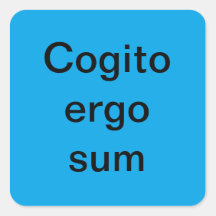 COGITO ERGO SUM STICKERS