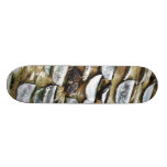 Coins Hammered Into A Trunk Skate Board Deck