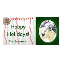 COLLIE PHOTO GREETING CARD