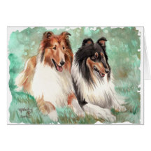 Collies Cards