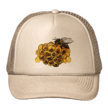 Colmena Hats