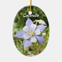 Colorado Blue Columbine Ornament