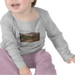 Colorado Cattle Roundup 1897 T Shirt