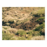 colorado Mountains Custom Invitations