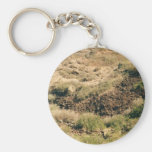colorado Mountains Key Chain