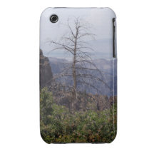 Colorado Rocky Mountain Black Canyon Iphone Case iPhone 3 Case