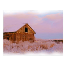 COLORADO SHED POSTCARD