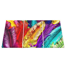 COLORFUL FEATHERS Wrapped Canvas Print