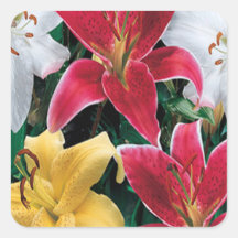 Colorful Flowers Stickers