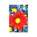 Colorful Orange Red Blue Gerber Daisies Flowers Canvas Print