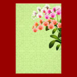 Colorful Phalaenopsis Orchid Flowers stationery