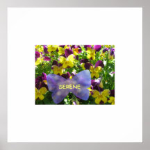 Colossal Pansy Poster