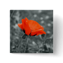 Colour key Poppy Button