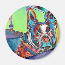 Colour My World with Boston Terriers Fridge Magnets