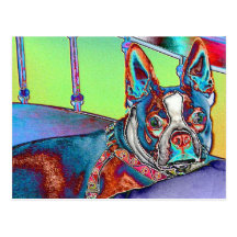 Colour My World with Boston Terriers Post Card