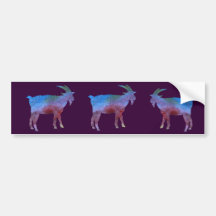 Colour Washed Goats Bumper Sticker