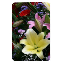 Coloured lilies rectangle magnets