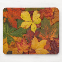 Colourful Autumn Leaves Mousepad