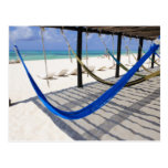 Colourful Beach Hammocks Cozumel Mexico Postcard
