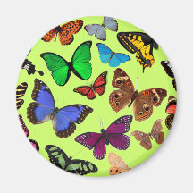 Colourful Butterflies Refrigerator Magnet