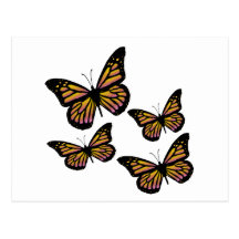 Colourful Butterfly Butterflies Post Card