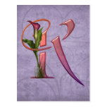 Colourful Calla Initial K Postcard