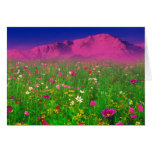Colourful Colorado, Pikes Peak Mountain Greeting Card
